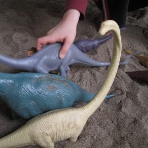 Studying dinosaurs in the sand pit!
